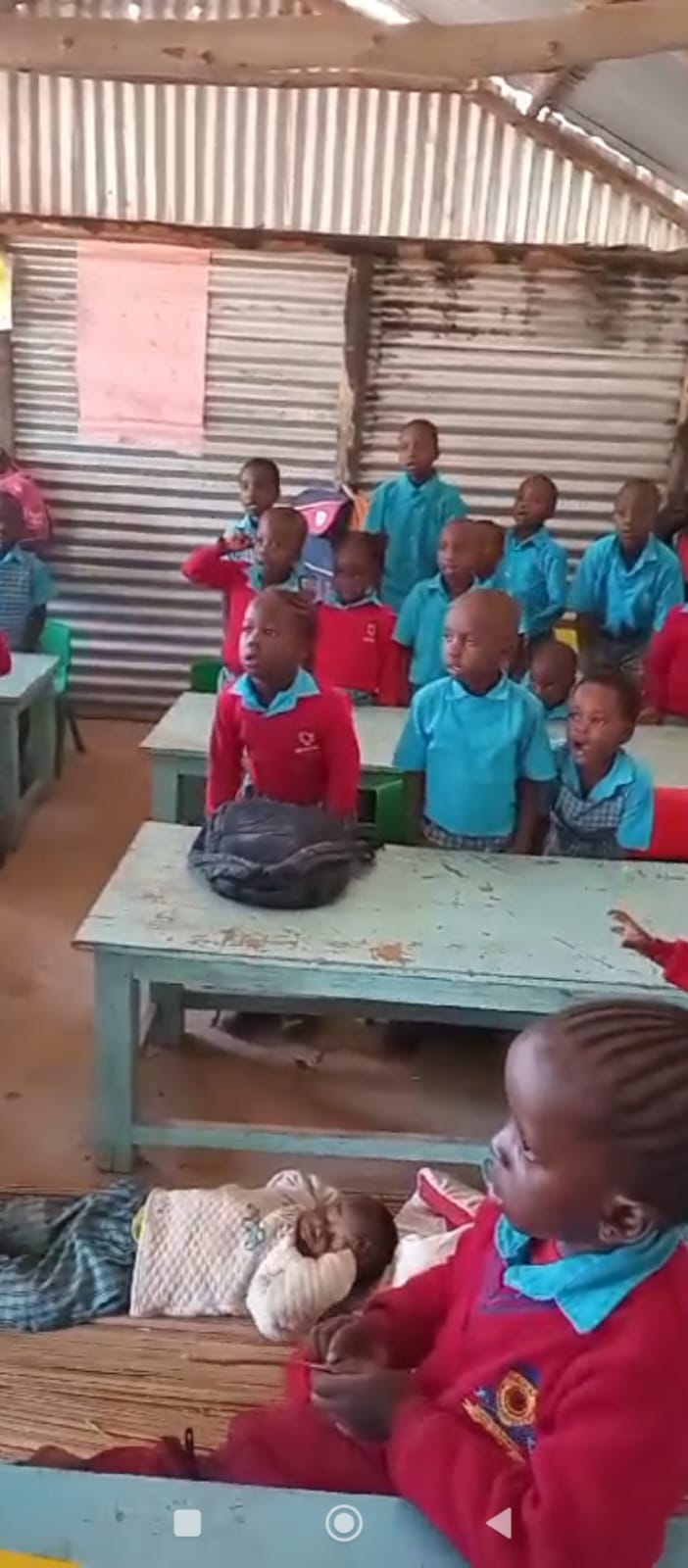 Education & Mentorship