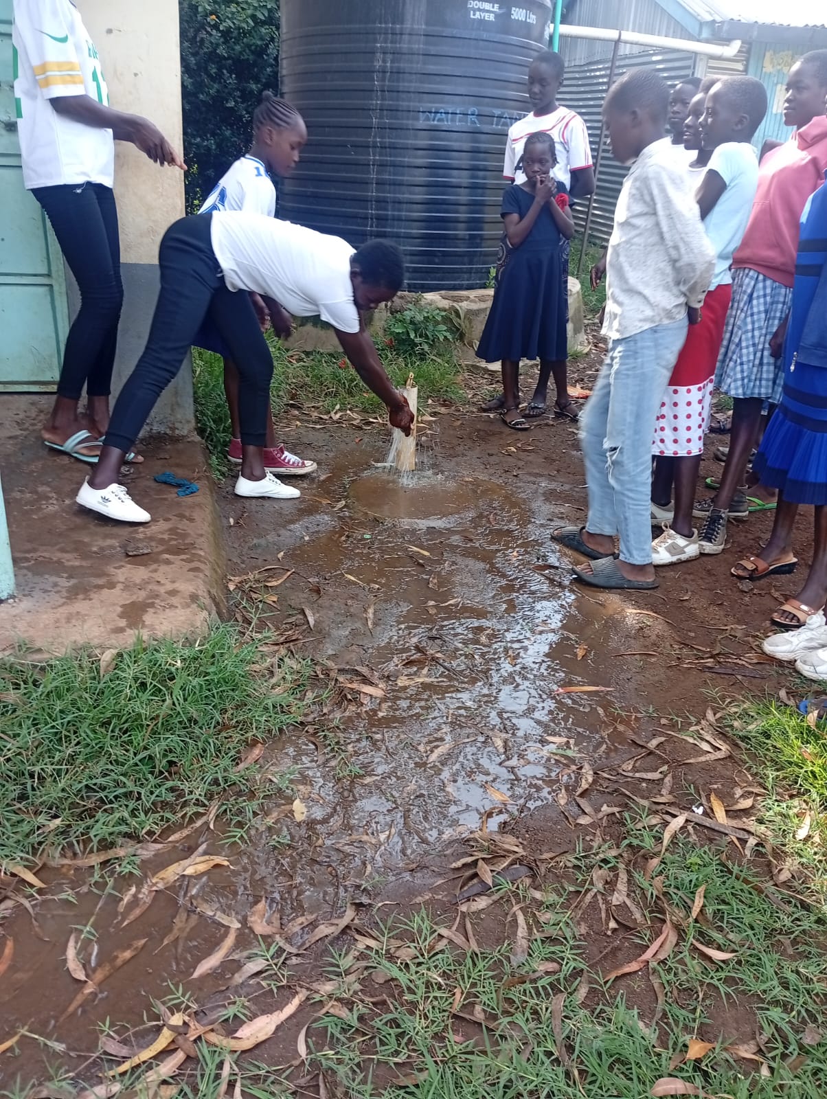 Mentorship hygiene practices
